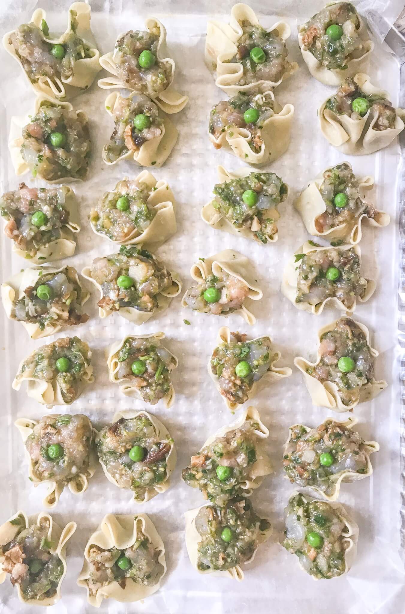 Chinese Pork and Shrimp Dumplings - MEtirementblog