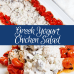 Greek Yogurt Chicken Salad with Feta and Blistered Tomatoes