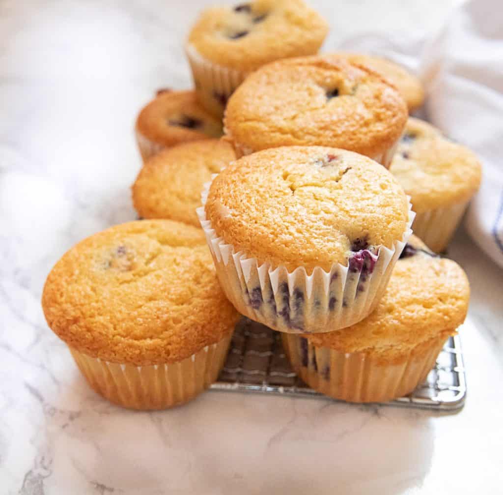 Healthy Blender Cottage Cheese And Yogurt Blueberry Muffins